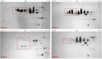 The Effect of Alpha s1 Genotype on Some Physiological and Chemical Milk Characteristics in Garganica Goat